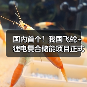 国内首个!我国飞轮+锂电复合储能项目正式投入运行(图3) 国内首个!我国飞轮+锂电复合储能项目正式投入运行(图3)