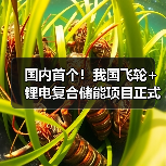 国内首个!我国飞轮+锂电复合储能项目正式投入运行(图4) 国内首个!我国飞轮+锂电复合储能项目正式投入运行(图4)
