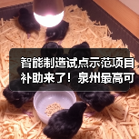 智能制造试点示范项目补助来了!泉州最高可领100万(图4) 智能制造试点示范项目补助来了!泉州最高可领100万(图4)