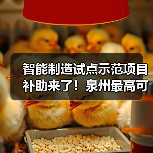 智能制造试点示范项目补助来了!泉州最高可领100万(图2) 智能制造试点示范项目补助来了!泉州最高可领100万(图2)