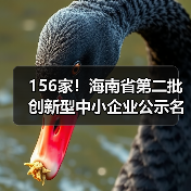 156家!海南省第二批创新型中小企业公示名单(图3) 156家!海南省第二批创新型中小企业公示名单(图3)
