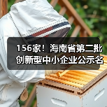156家!海南省第二批创新型中小企业公示名单(图2) 156家!海南省第二批创新型中小企业公示名单(图2)