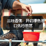 三旺通信:开启绿色港口先行示范(图4) 三旺通信:开启绿色港口先行示范(图4)