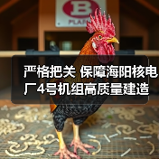 严格把关 保障海阳核电厂4号机组高质量建造(图3) 严格把关 保障海阳核电厂4号机组高质量建造(图3)