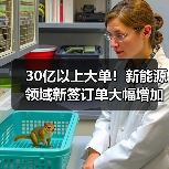 30亿以上大单!新能源领域新签订单大幅增加(图2) 30亿以上大单!新能源领域新签订单大幅增加(图2)