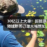 30亿以上大单!新能源领域新签订单大幅增加(图1) 30亿以上大单!新能源领域新签订单大幅增加(图1)