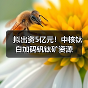 拟出资5亿元!中核钛白加码钒钛矿资源(图4) 拟出资5亿元!中核钛白加码钒钛矿资源(图4)