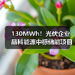 130MWh!光伏企业晶科能源中标储能项目!(图3) 130MWh!光伏企业晶科能源中标储能项目!(图3)