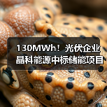 130MWh!光伏企业晶科能源中标储能项目!(图2) 130MWh!光伏企业晶科能源中标储能项目!(图2)
