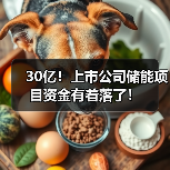 30亿!上市公司储能项目资金有着落了!(图3) 30亿!上市公司储能项目资金有着落了!(图3)