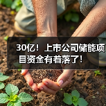 30亿!上市公司储能项目资金有着落了!(图2) 30亿!上市公司储能项目资金有着落了!(图2)