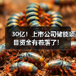 30亿!上市公司储能项目资金有着落了!(图4) 30亿!上市公司储能项目资金有着落了!(图4)