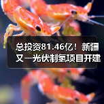 总投资81.46亿!新疆又一光伏制氢项目开建(图1) 总投资81.46亿!新疆又一光伏制氢项目开建(图1)