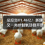总投资81.46亿!新疆又一光伏制氢项目开建(图3) 总投资81.46亿!新疆又一光伏制氢项目开建(图3)