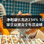 净利增长高达234% 10家企业披露全年度业绩报告(图3) 净利增长高达234% 10家企业披露全年度业绩报告(图3)