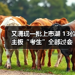 又涌现一批上市潮 13位主板“考生”全部过会(图1) 又涌现一批上市潮 13位主板“考生”全部过会(图1)
