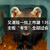 又涌现一批上市潮 13位主板“考生”全部过会(图4) 又涌现一批上市潮 13位主板“考生”全部过会(图4)