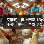 又涌现一批上市潮 13位主板“考生”全部过会(图2) 又涌现一批上市潮 13位主板“考生”全部过会(图2)