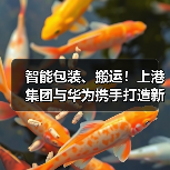智能包装、搬运!上港集团与华为携手打造新智慧港口(图1) 智能包装、搬运!上港集团与华为携手打造新智慧港口(图1)