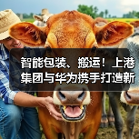 智能包装、搬运!上港集团与华为携手打造新智慧港口(图2) 智能包装、搬运!上港集团与华为携手打造新智慧港口(图2)
