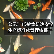 公示!15处煤矿达安全生产标准化管理体系一级标准(图2) 公示!15处煤矿达安全生产标准化管理体系一级标准(图2)
