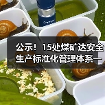公示！15处煤矿达安全生产标准化管理体系一级标准