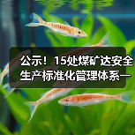 公示!15处煤矿达安全生产标准化管理体系一级标准(图3) 公示!15处煤矿达安全生产标准化管理体系一级标准(图3)