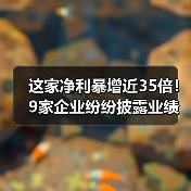 这家净利暴增近35倍!9家企业纷纷披露业绩快报(图2) 这家净利暴增近35倍!9家企业纷纷披露业绩快报(图2)