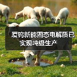 厦钨新能固态电解质已实现吨级生产(图4) 厦钨新能固态电解质已实现吨级生产(图4)