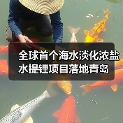全球首个海水淡化浓盐水提锂项目落地青岛(图3) 全球首个海水淡化浓盐水提锂项目落地青岛(图3)