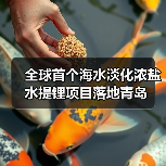 全球首个海水淡化浓盐水提锂项目落地青岛(图4) 全球首个海水淡化浓盐水提锂项目落地青岛(图4)
