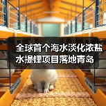 全球首个海水淡化浓盐水提锂项目落地青岛(图2) 全球首个海水淡化浓盐水提锂项目落地青岛(图2)