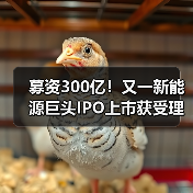 募资300亿！又一新能源巨头IPO上市获受理！（图1）