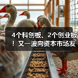 4个科创板、2个创业板!又一波向资本市场发起冲刺(图3) 4个科创板、2个创业板!又一波向资本市场发起冲刺(图3)