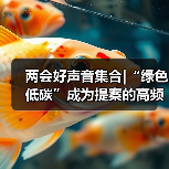 两会好声音集合|“绿色低碳”成为提案的高频词(图4) 两会好声音集合|“绿色低碳”成为提案的高频词(图4)