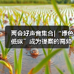 两会好声音集合|“绿色低碳”成为提案的高频词(图3) 两会好声音集合|“绿色低碳”成为提案的高频词(图3)