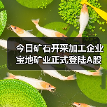 今日矿石开采加工企业宝地矿业正式登陆A股(图4) 今日矿石开采加工企业宝地矿业正式登陆A股(图4)