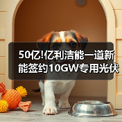 50亿!亿利洁能一道新能签约10GW专用光伏组件项目(图3) 50亿!亿利洁能一道新能签约10GW专用光伏组件项目(图3)