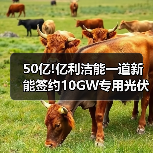 50亿!亿利洁能一道新能签约10GW专用光伏组件项目(图1) 50亿!亿利洁能一道新能签约10GW专用光伏组件项目(图1)