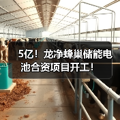 5亿!龙净蜂巢储能电池合资项目开工!(图1) 5亿!龙净蜂巢储能电池合资项目开工!(图1)