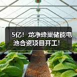 5亿!龙净蜂巢储能电池合资项目开工!(图3) 5亿!龙净蜂巢储能电池合资项目开工!(图3)