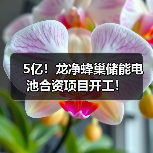 5亿!龙净蜂巢储能电池合资项目开工!(图2) 5亿!龙净蜂巢储能电池合资项目开工!(图2)