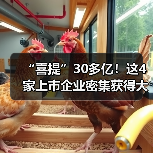 “喜提”30多亿!这4家上市企业密集获得大订单(图4) “喜提”30多亿!这4家上市企业密集获得大订单(图4)
