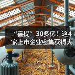 “喜提”30多亿！这4家上市企业密集获得大订单