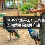 4GW产线开工!英利集团持续提高组件产能(图3) 4GW产线开工!英利集团持续提高组件产能(图3)