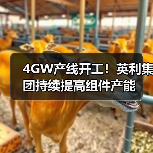 4GW产线开工!英利集团持续提高组件产能(图2) 4GW产线开工!英利集团持续提高组件产能(图2)
