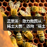 孟繁英:助力我国从“稀土大国”迈向“稀土强国”(图4) 孟繁英:助力我国从“稀土大国”迈向“稀土强国”(图4)