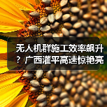 无人机群施工效率飙升?广西灌平高速惊艳亮相(图4) 无人机群施工效率飙升?广西灌平高速惊艳亮相(图4)