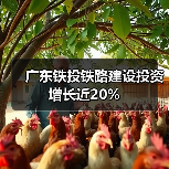 广东铁投铁路建设投资增长近20%(图4) 广东铁投铁路建设投资增长近20%(图4)