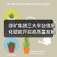 徐矿集团三大平台信息化赋能开启高质量发展新阶段